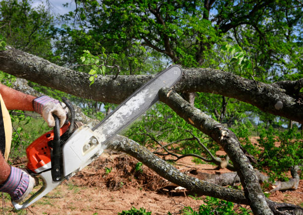 Mulching Services in Chatmoss, VA